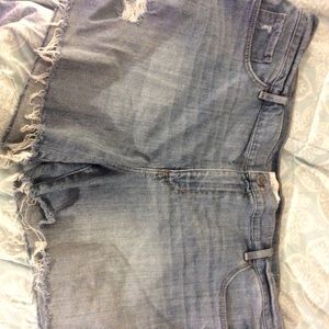 Ann Taylor Loft Denim Frayed Shorts Size 18